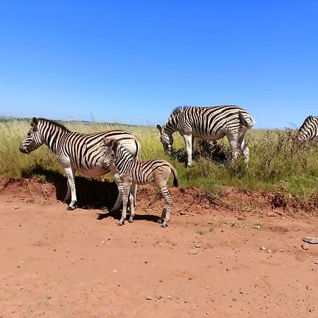 Sedgefield Lodge Witbank Bagian luar foto