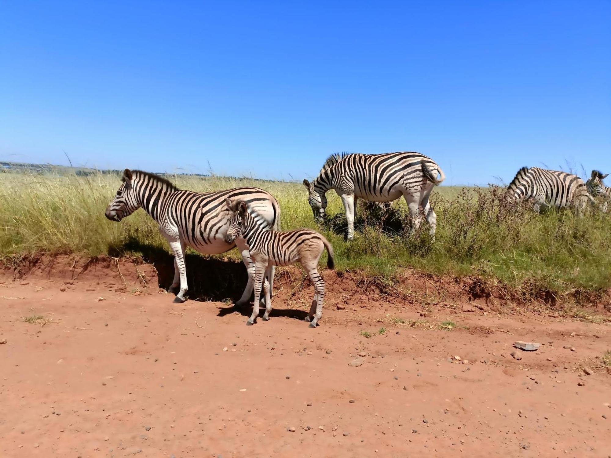Sedgefield Lodge Witbank Bagian luar foto